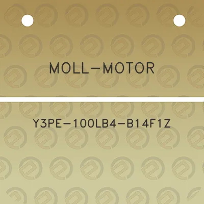 moll-motor-y3pe-100lb4-b14f1z