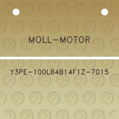 moll-motor-y3pe-100lb4b14f1z-7015