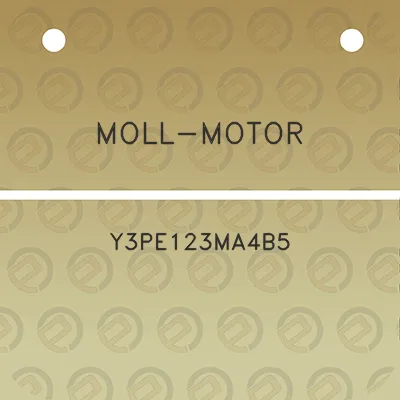 moll-motor-y3pe123ma4b5