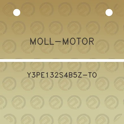 moll-motor-y3pe132s4b5z-to