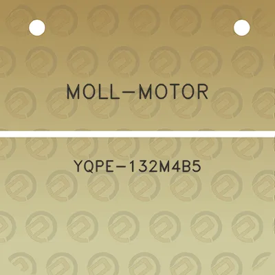 moll-motor-yqpe-132m4b5