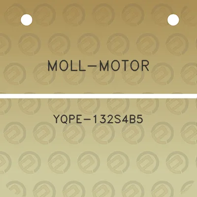 moll-motor-yqpe-132s4b5