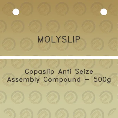 molyslip-copaslip-anti-seize-assembly-compound-500g