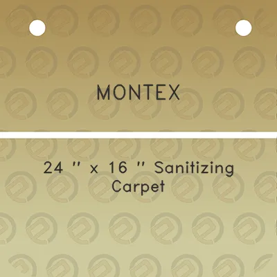 montex-24-x-16-sanitizing-carpet