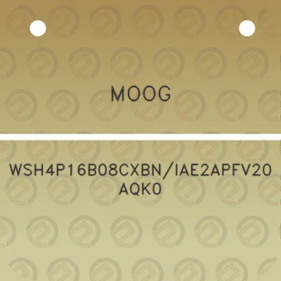 moog-wsh4p16b08cxbniae2apfv20aqk0