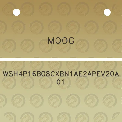 moog-wsh4p16b08cxbn1ae2apev20a01