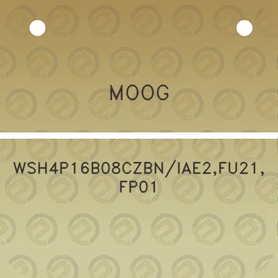 moog-wsh4p16b08czbniae2fu21fp01