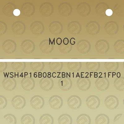 moog-wsh4p16b08czbn1ae2fb21fp01