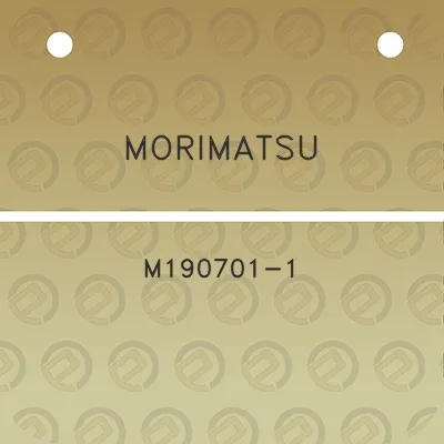 morimatsu-m190701-1