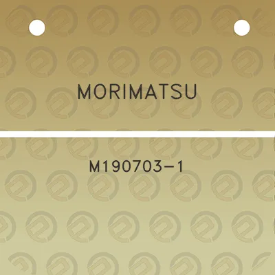 morimatsu-m190703-1