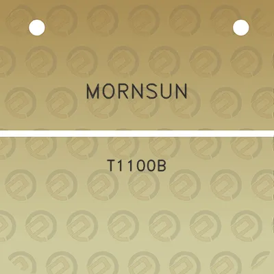 mornsun-t1100b