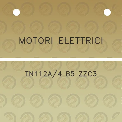 motori-elettrici-tn112a4-b5-zzc3