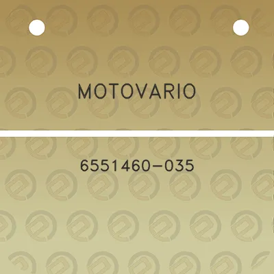 motovario-6551460-035