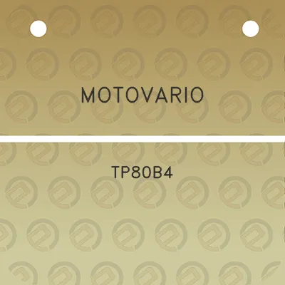 motovario-tp80b4