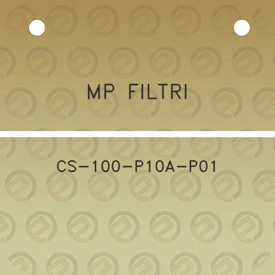 mp-filtri-cs-100-p10a-p01