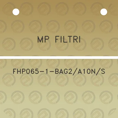 mp-filtri-fhp065-1-bag2a10ns