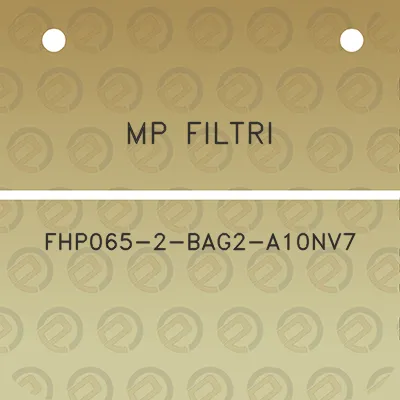 mp-filtri-fhp065-2-bag2-a10nv7