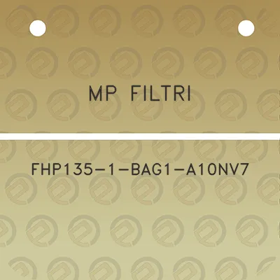 mp-filtri-fhp135-1-bag1-a10nv7