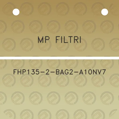 mp-filtri-fhp135-2-bag2-a10nv7