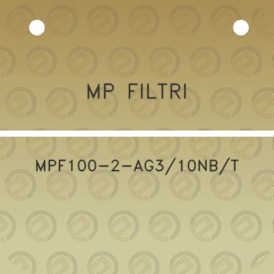 mp-filtri-mpf100-2-ag310nbt