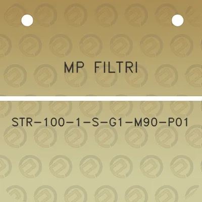 mp-filtri-str-100-1-s-g1-m90-p01