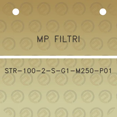 mp-filtri-str-100-2-s-g1-m250-p01