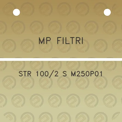 mp-filtri-str-1002-s-m250p01