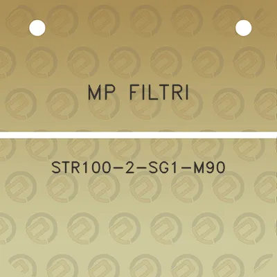 mp-filtri-str100-2-sg1-m90