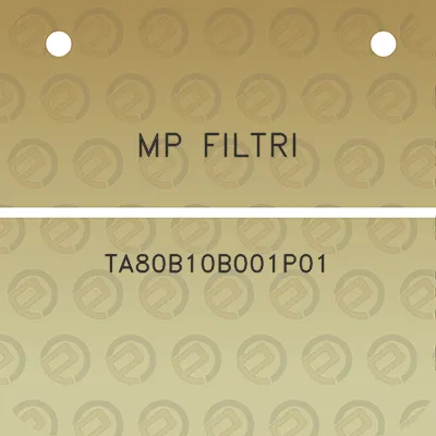 mp-filtri-ta80b10b001p01