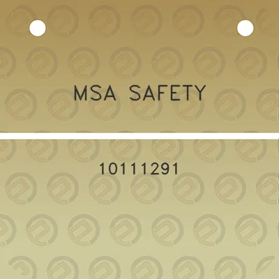 msa-safety-10111291