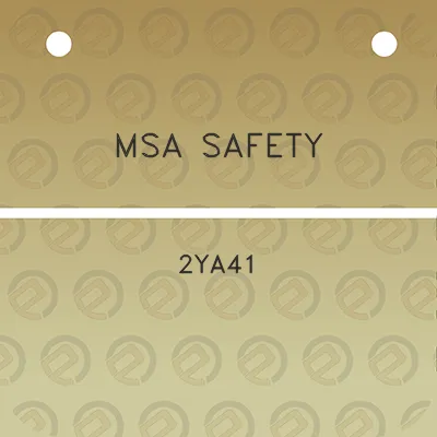 msa-safety-2ya41