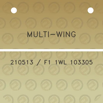 multi-wing-210513-f1-1wl-103305