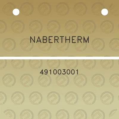 nabertherm-491003001