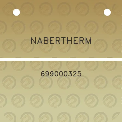 nabertherm-699000325