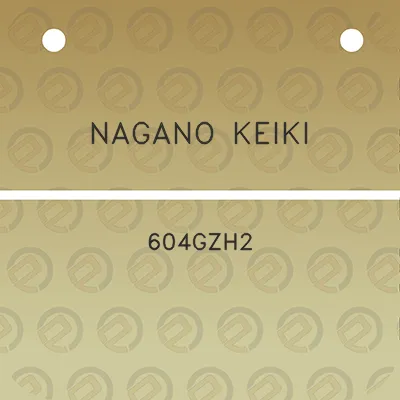 nagano-keiki-604gzh2