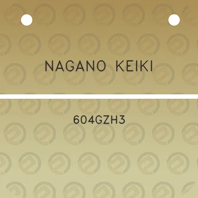 nagano-keiki-604gzh3