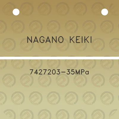 nagano-keiki-7427203-35mpa