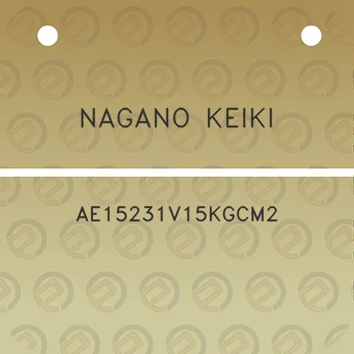 nagano-keiki-ae15231v15kgcm2