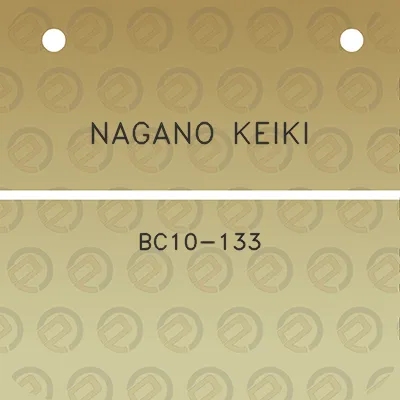 nagano-keiki-bc10-133