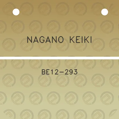 nagano-keiki-be12-293