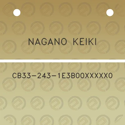 nagano-keiki-cb33-243-1e3b00xxxxx0