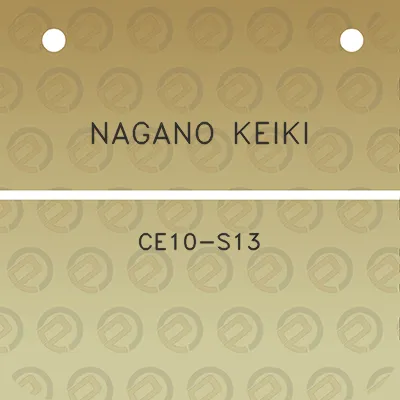 nagano-keiki-ce10-s13