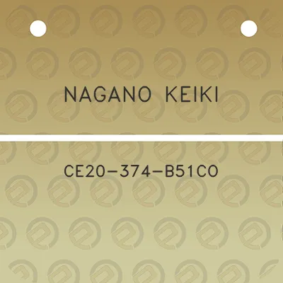 nagano-keiki-ce20-374-b51co