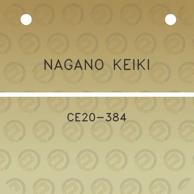 nagano-keiki-ce20-384