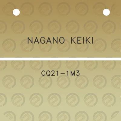 nagano-keiki-cq21-1m3