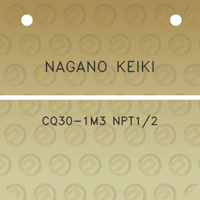 nagano-keiki-cq30-1m3-npt12