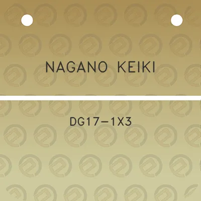 nagano-keiki-dg17-1x3