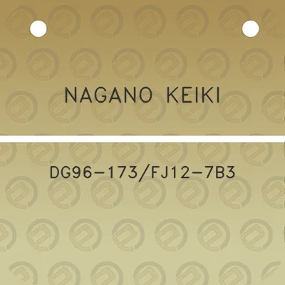 nagano-keiki-dg96-173fj12-7b3