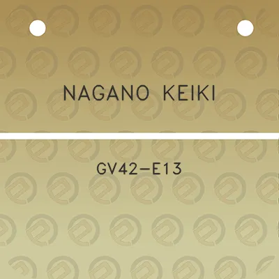 nagano-keiki-gv42-e13