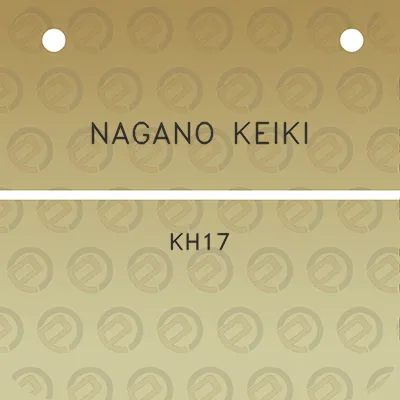 nagano-keiki-kh17